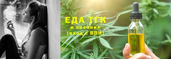 дживик Туринск