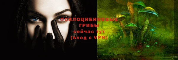 тгк Алексин