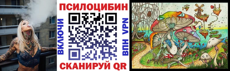 Галлюциногенные грибы MAGIC MUSHROOMS  закладка  Евпатория 